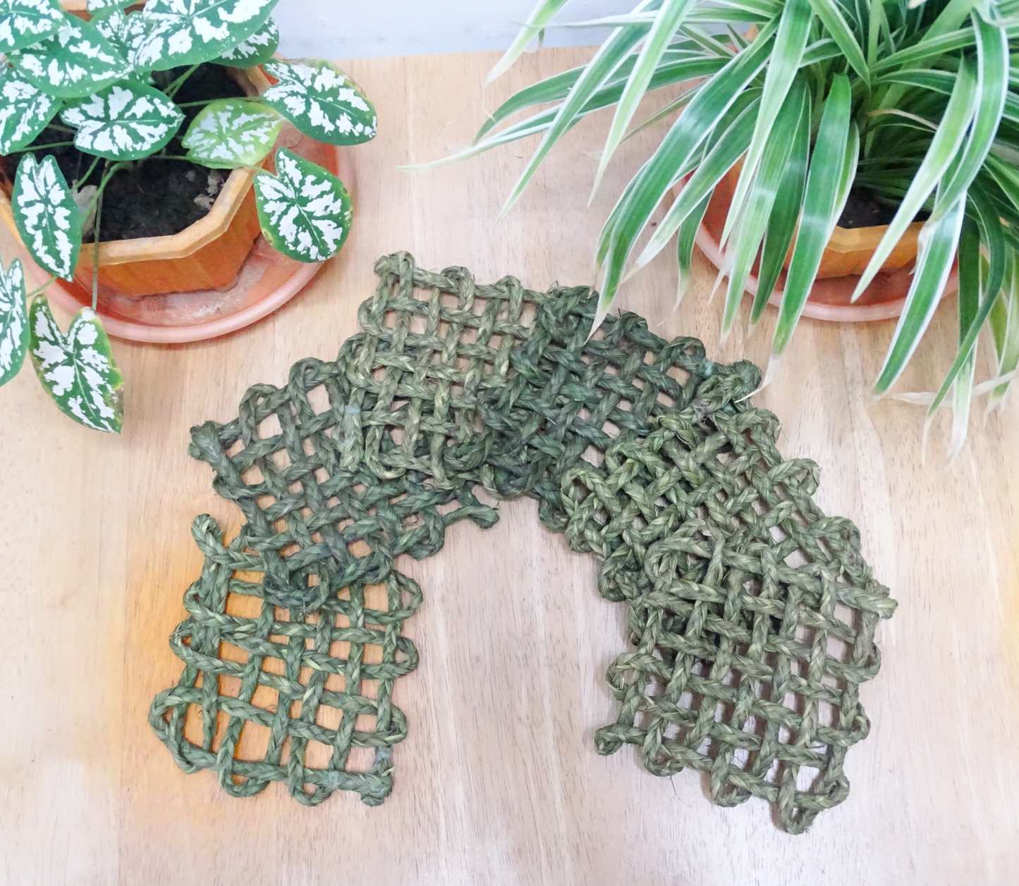 Coaster Set of Sabai Grass from Odisha - Dark Green (Square) - ArtisanSoul
