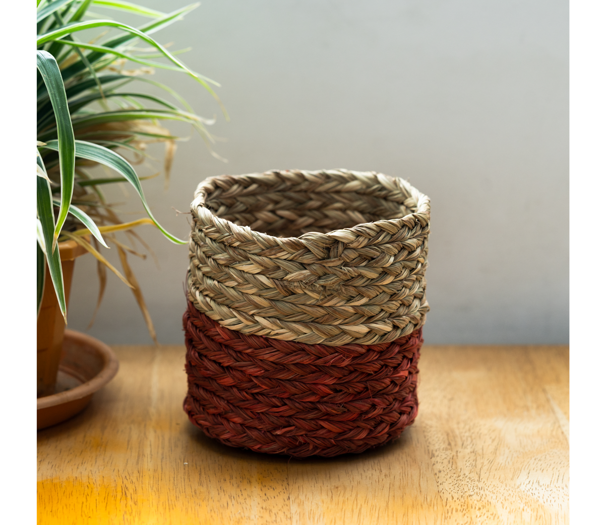 Small Planter of Sabai Grass - Red and Natural - ArtisanSoul