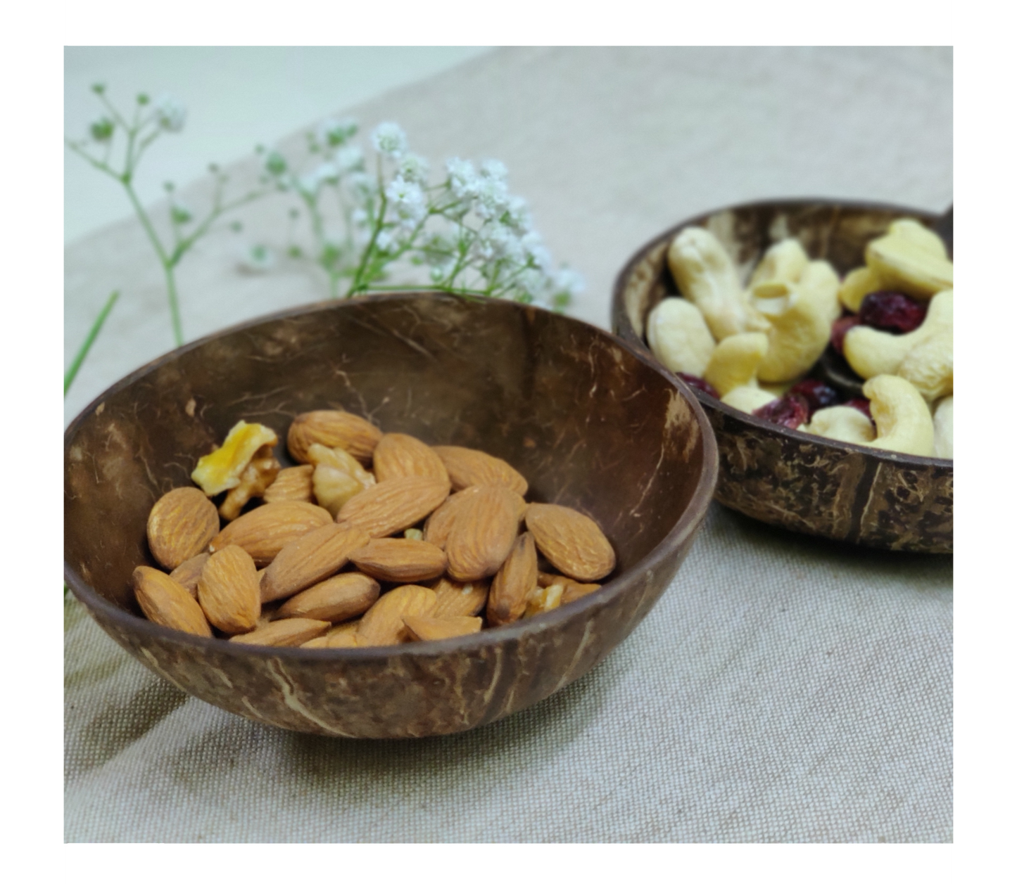 Coconut Shell Snack Bowls Pack - 2