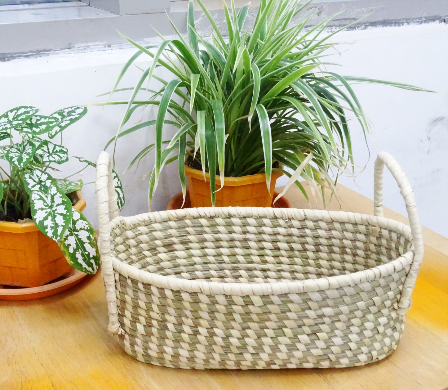 Oval fruit Basket of Sabai Grass from Odisha - Natural